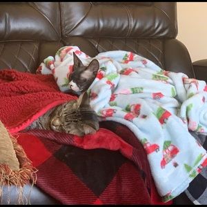 Meet your Posher, Vickie